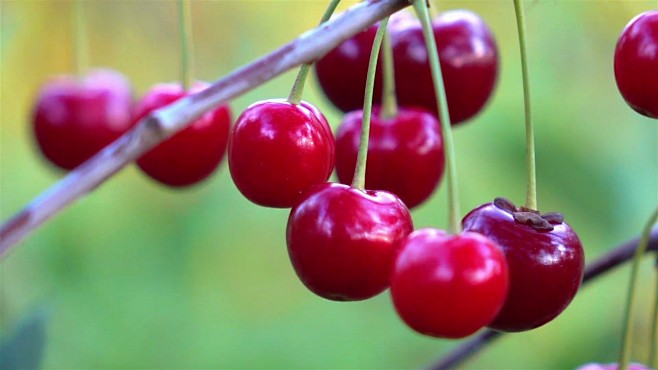 你是最美 产品图片