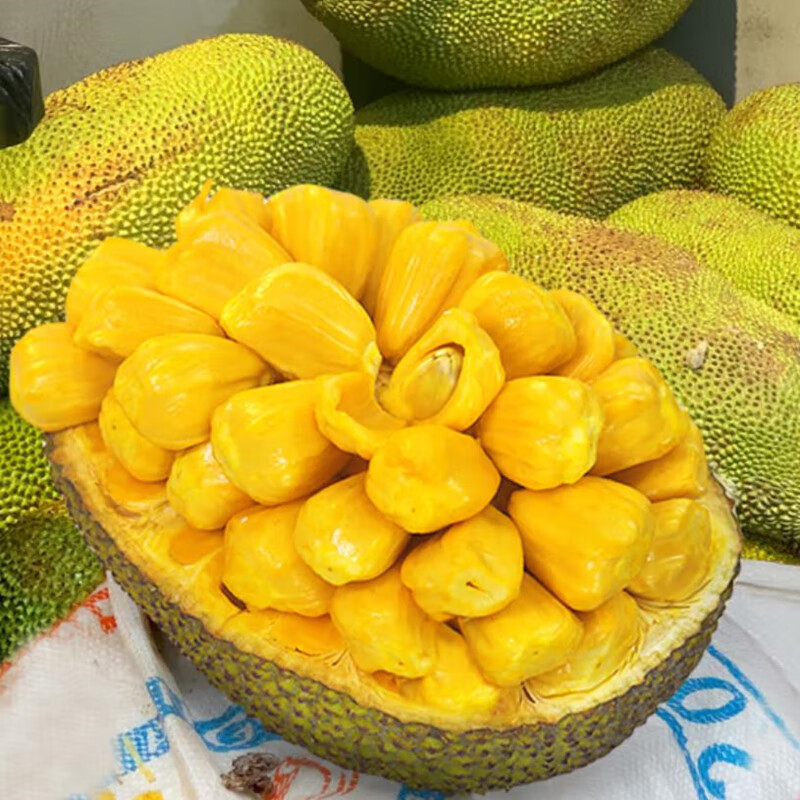 你的儿子 推荐产品