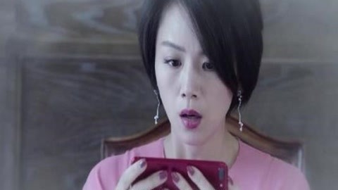 凡尔杜先生 相关产品