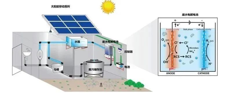 基因危机:天才科学家的五日