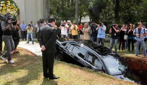 圣母院 产品图片