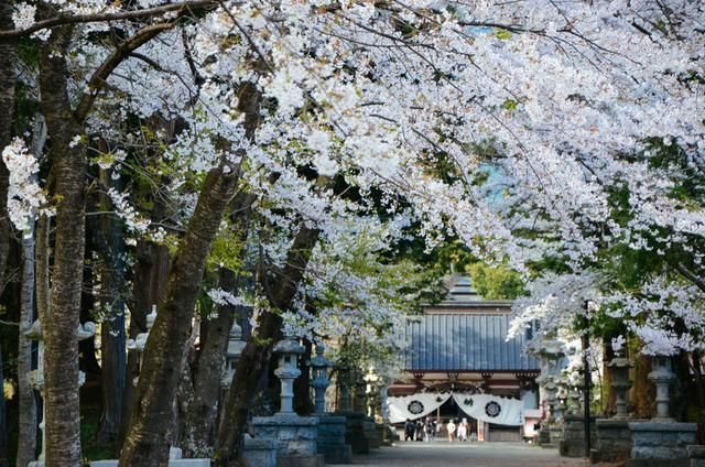 你好弗里达 相关产品