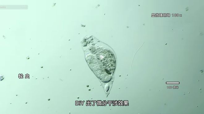 出招吧！看不剑！ 产品图片