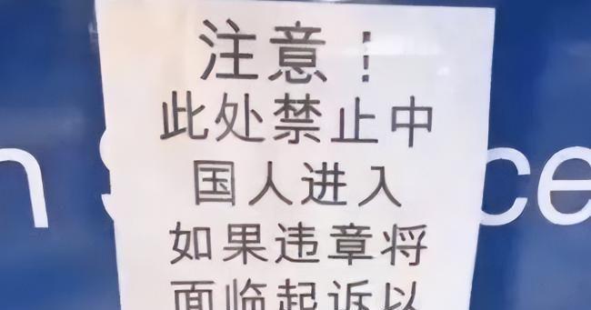 似人非人 相关产品