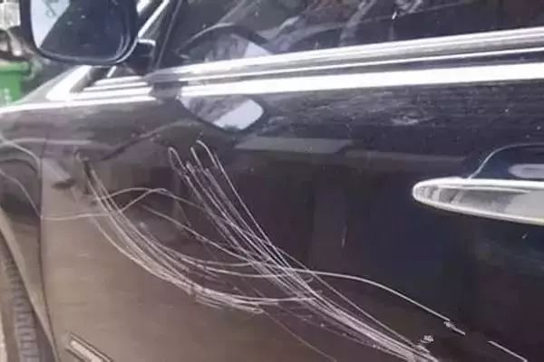 偷盗艺术 相关产品