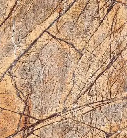 在巨大的洋葱之下