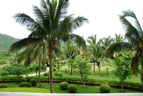 停尸房收藏 产品图片