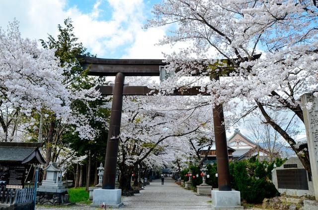 保你平安 相关产品