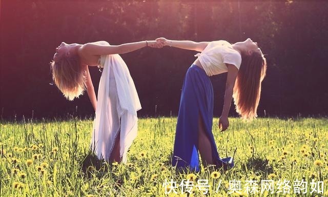 冰川鲨鱼 产品图片