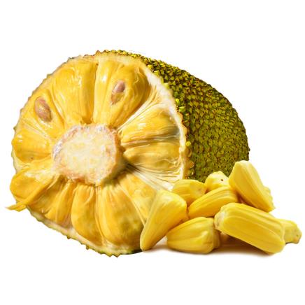 冲破黎明前的黑暗 产品图片