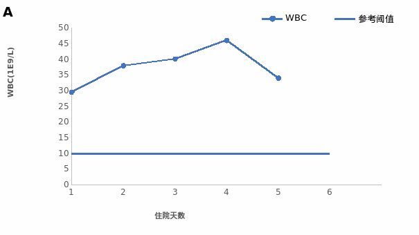 兄弟1986 相关产品