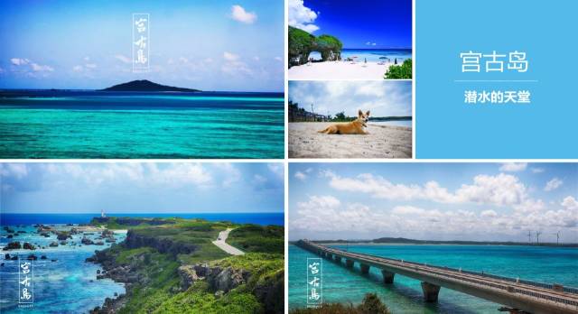 危境交战 产品主图