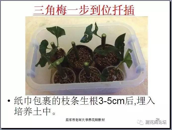 冷血悍将 推荐产品