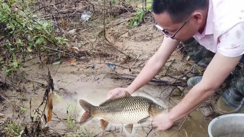 嗜血之爱 相关产品