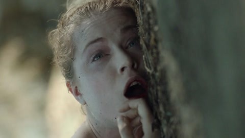 夜以继日 产品图片