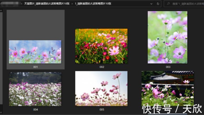 地狱少女 相关产品