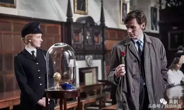 啄木鸟和雨 相关产品