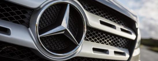 传承叶 相关产品