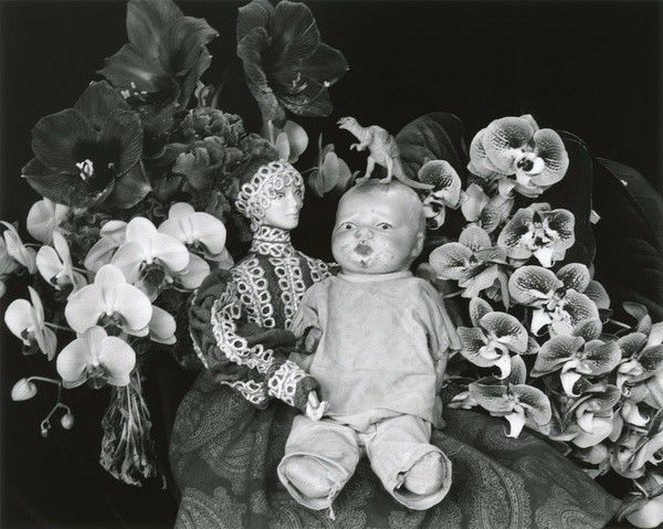 你的怪物 产品主图