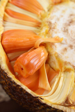 假日总动员 相关产品