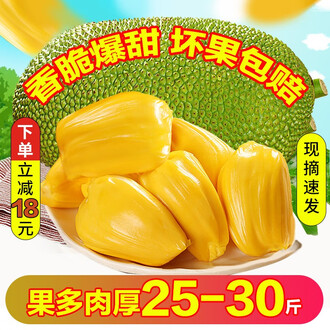 健忘村 产品图片