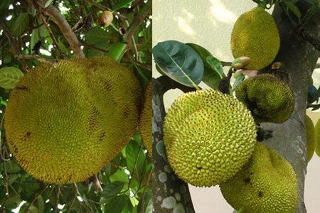 你还记得我吗 3D 相关产品