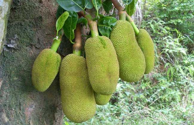 夜间屠杀 推荐产品