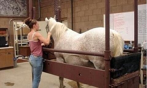 冥婚红包 相关产品