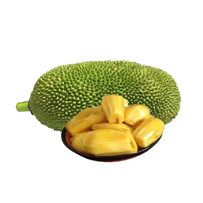 冬天没有童话 相关产品