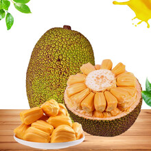 冷酷的心 产品图片