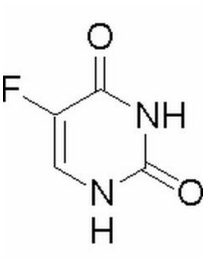 伊格尔和鹤的旅程 产品图片