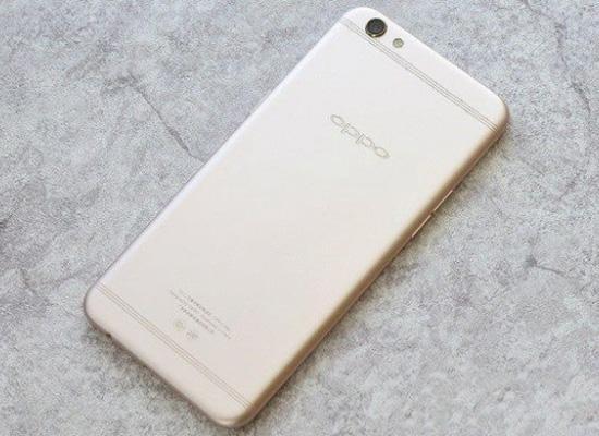 僵尸叔叔 产品主图