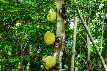 决胜21点 21 推荐产品