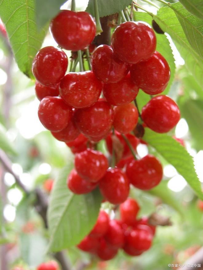 凯恩舰哗变的军事审判