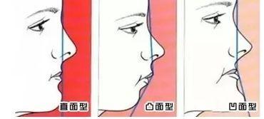 伦敦一家人 产品图片