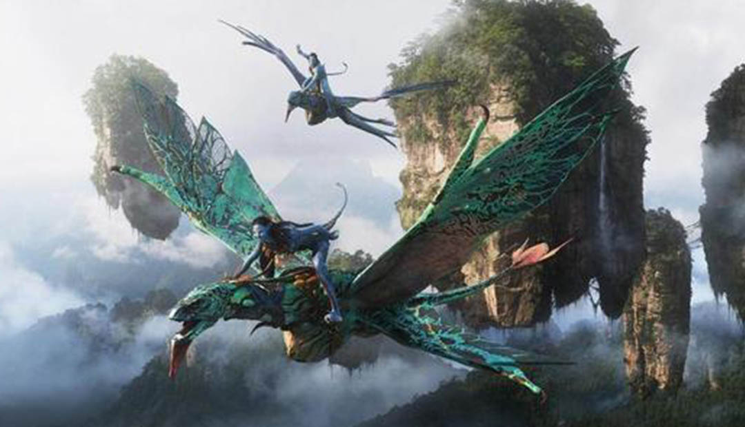 偷窃法则 相关产品