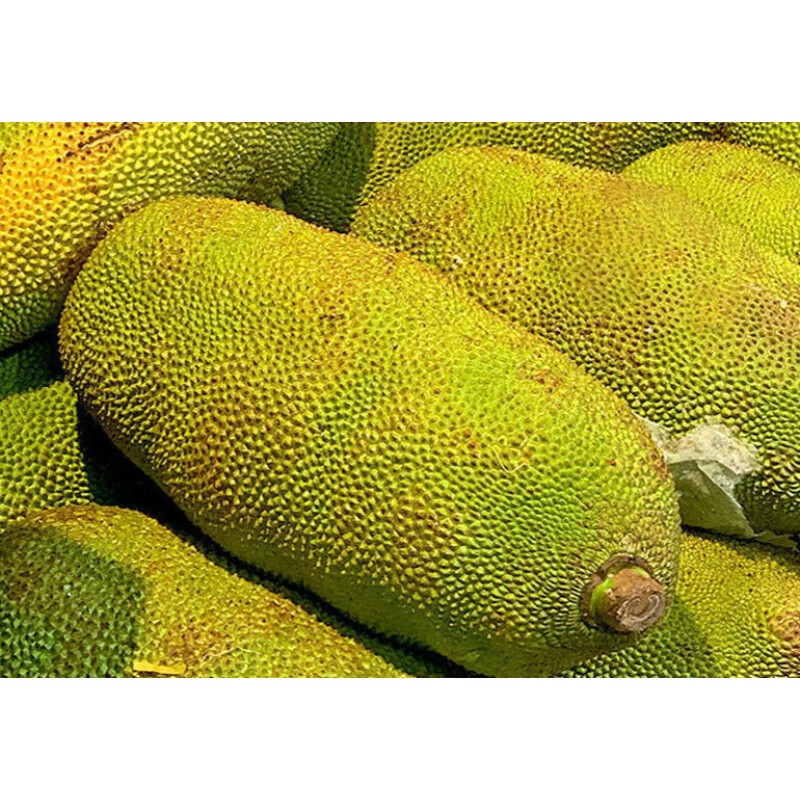 伟大杰作 产品图片