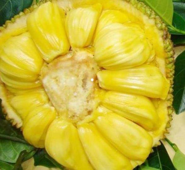 假面骑士 平成世代 终章 创骑与艾克赛德联手传奇骑士 相关产品