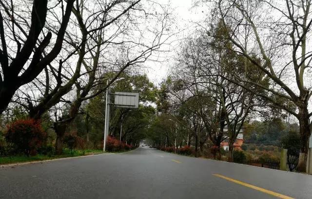 为你钟情2010（国语版）