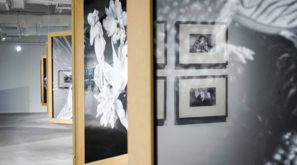 只有你 相关产品