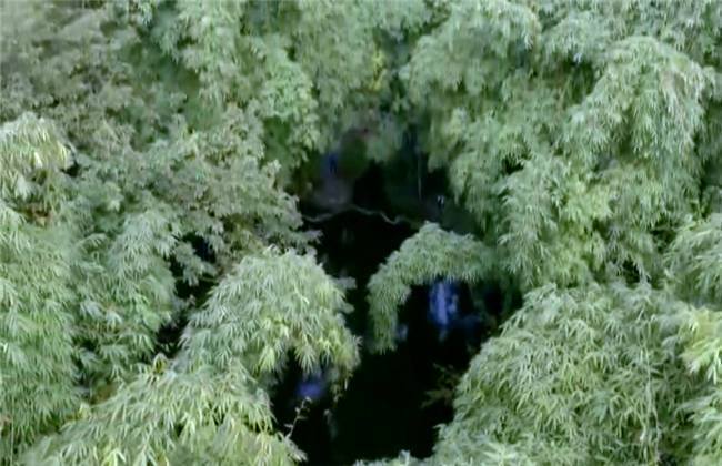 伦敦一家人 产品图片