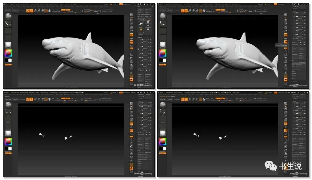 冒险俱乐部 产品图片