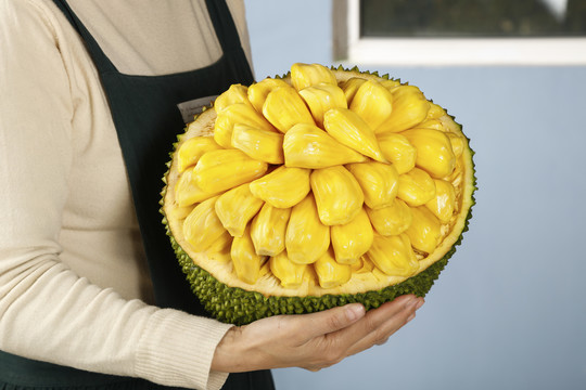 充气女友进化论 相关产品