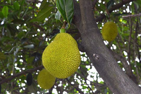 墨斗先生 相关产品