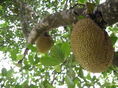 何去何从 推荐产品