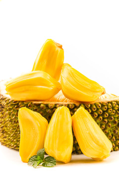 凋零在春天 产品图片