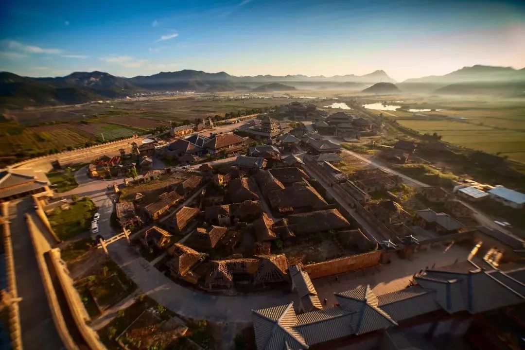 僵尸翻生 相关产品