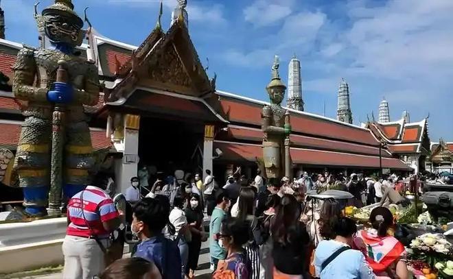 冒牌家庭 相关产品