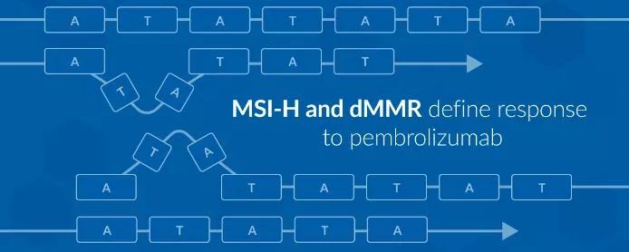 冒牌上帝 产品图片