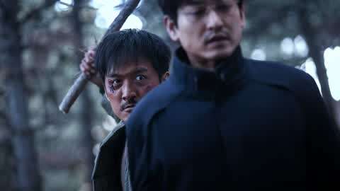 听风捉影 相关产品